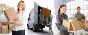 Car Bike Shifting along with Packers and Movers Service from Bhopal to Bhind, Warehouse, Office Shifting etc.